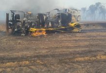 Dois brigadistas de usina morrem tentando combater incêndio