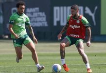 Palmeiras pode ter time misto para encarar o São Paulo
