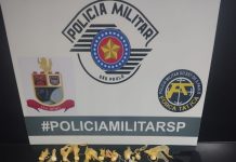 Força Tática prende casal por tráfico de drogas em Votuporanga