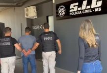 DIG de Votuporanga prende condenado por furto de gado no MS