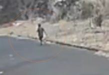 Homem flagrado por câmera saindo de mata antes de início de queimada é detido e multado em R$ 7 mil em Jales