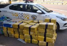 Polícia prende motorista e apreende furgão recheado de drogas em Nova Independência