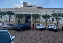 Jovem morre após ser picado por inseto em Rio Preto