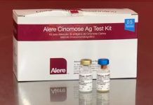 Tanabi registra 8 casos de cães com cinomose em menos de 2 meses