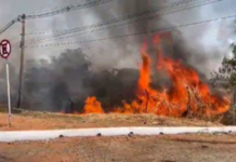 Rede elétrica: Queimadas prejudicam mais de 30 mil clientes no primeiro semestre do ano