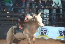 Peão quebra o maxilar após bater rosto contra chifre de touro em rodeio