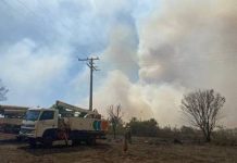 Neoenergia Elektro substitui 150 postes atingidos pelas queimadas na região de Votuporanga