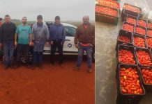 Santa Casa recebe doação de tomates