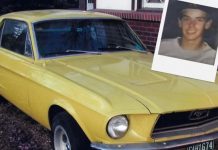SETEMBRO AMARELO – Conheça a história do Mustang que inspirou a campanha global de prevenção do suicídio