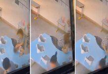 Diretora de creche é afastada por suspeita de agredir criança em Votuporanga