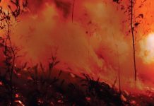 Defesa Civil do Estado de SP alerta para o período de seca e incêndios