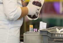 STF reconhece direito de testemunhas de Jeová recusar transfusão