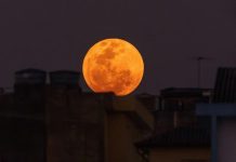 Terra ganhará uma “segunda lua” neste mês; entenda