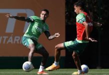 Palmeiras fica perto de ter “reforço” do departamento médico; veja raio-x dos lesionados