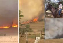 Funcionário de fazenda que desapareceu enquanto afastava gado de queimada é encontrado morto em Neves Paulista