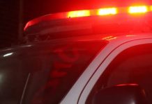 Criança que estava sob guarda provisória é raptada pelos pais biológicos