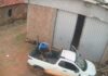 Homem é flagrado maltratando cachorro até a morte em General Salgado