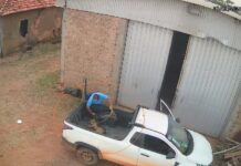 Homem é flagrado maltratando cachorro até a morte em General Salgado
