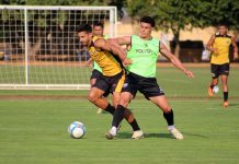 CAV enfrenta o Grêmio Novorizontino em jogo-treino
