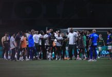 STJD suspende Zé Rafael, Nestor e Sabino por brigas em Palmeiras x São Paulo