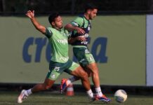 Palmeiras se reapresenta com Gabriel Menino em campo e ainda não deve ter Estêvão de volta