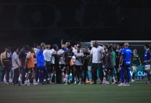 STJD julgará nesta sexta integrantes de São Paulo e Palmeiras por briga em clássico