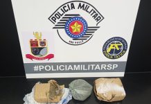 Força Tática prende traficante na zona norte de Votuporanga