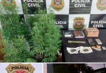 DISE prende dupla em operação contra o tráfico de drogas