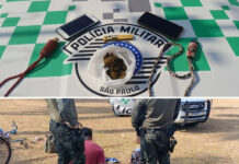 Polícia Ambiental prende suspeito por tráfico de drogas em Riolândia