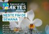 Parque das Artes terá edição especial de primavera com Exposição Nacional de Orquídeas