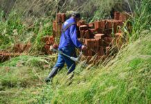 Prefeitura alerta sobre importância de manter terrenos limpos