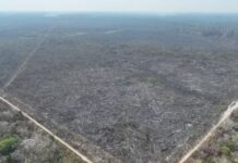 Área queimada no Brasil cresce 150% nos primeiros nove meses do ano