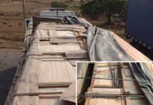 Polícia Ambiental apreende madeira que seria exportada para a Alemanha