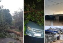 Temporal causa alagamentos e queda de árvores no noroeste paulista