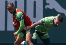 Palmeiras terá dois reforços contra o Bragantino, mas lista pode subir para seis novidades