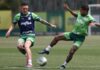 Palmeiras treina e programa volta de convocados para quinta-feira