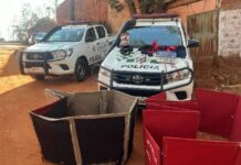 Polícia Ambiental flagra 10 pessoas em briga de galos, em Monte Aprazível