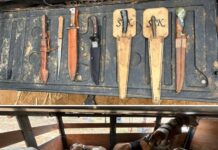 Sete homens são detidos por caça ilegal de animais em Lavínia