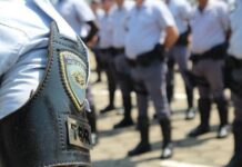 TOR da Polícia Militar apreende quase 74 toneladas de drogas em rodovias paulistas em 2024