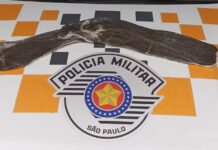 Adolescente é apreendida com porções de haxixe em ônibus