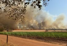 Queimadas causam quedas de energia elétrica em Votuporanga