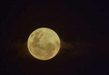 Maior Superlua do ano aparece no céu nesta quinta-feira