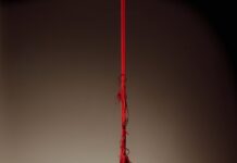 Metamorfoseando o câncer através da fotografia