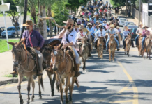Monte Aprazível entra no clima do rodeio com cavalgada e queima do alho neste domingo