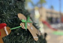 Secretaria da Cultura e Turismo prepara decoração do Natal Luz e Esperança