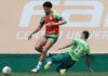 Palmeiras se reapresenta após derrota e prepara mudanças em reta final