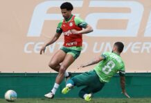 Palmeiras se reapresenta após derrota e prepara mudanças em reta final