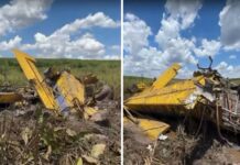 Piloto morre em queda de avião agrícola em área rural de Fernandópolis