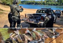 Grupo de pescadores é autuado no primeiro dia de Piracema