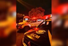 Jovem é preso após pisotear cabeça de garota de programa em Rio Preto